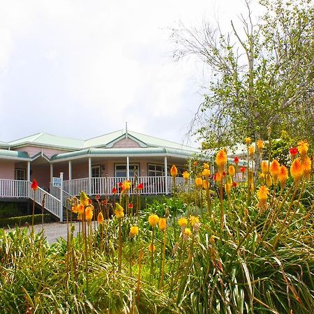 Matakohe House Bed & Breakfast Luaran gambar